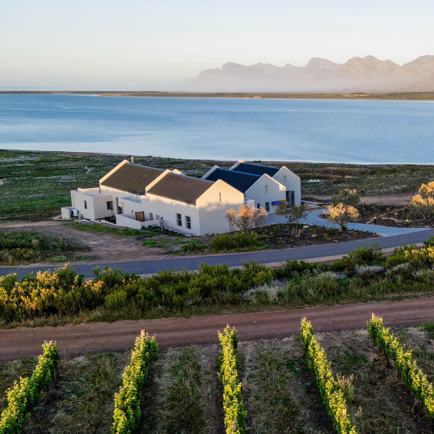Searching around Hermanus…