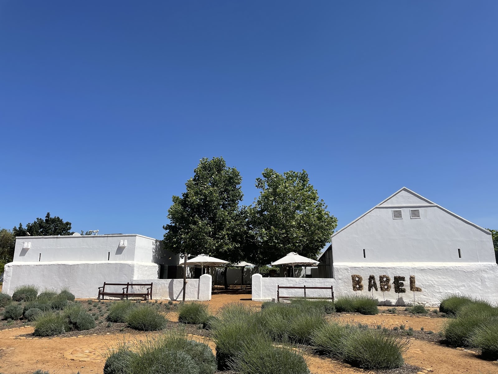 Searching around Western Cape…