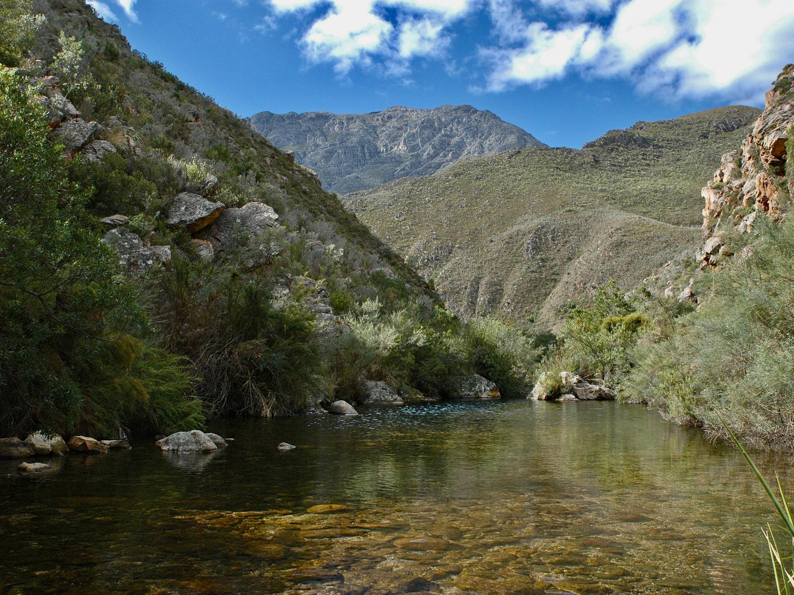 Bird-friendly stays in Calitzdorp