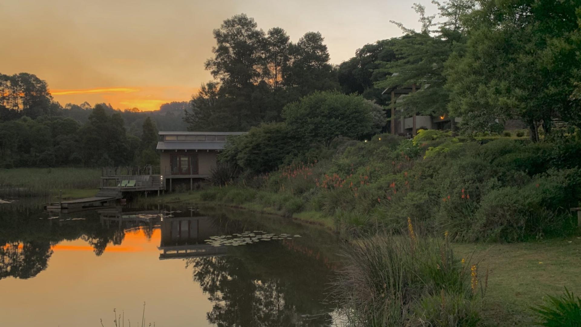 Bird-friendly stays in Magoebaskloof