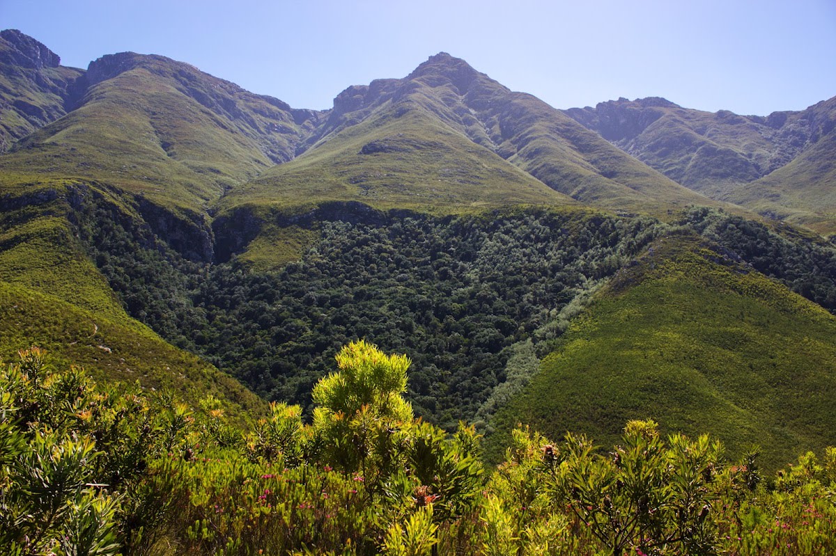 Marloth Nature Reserve