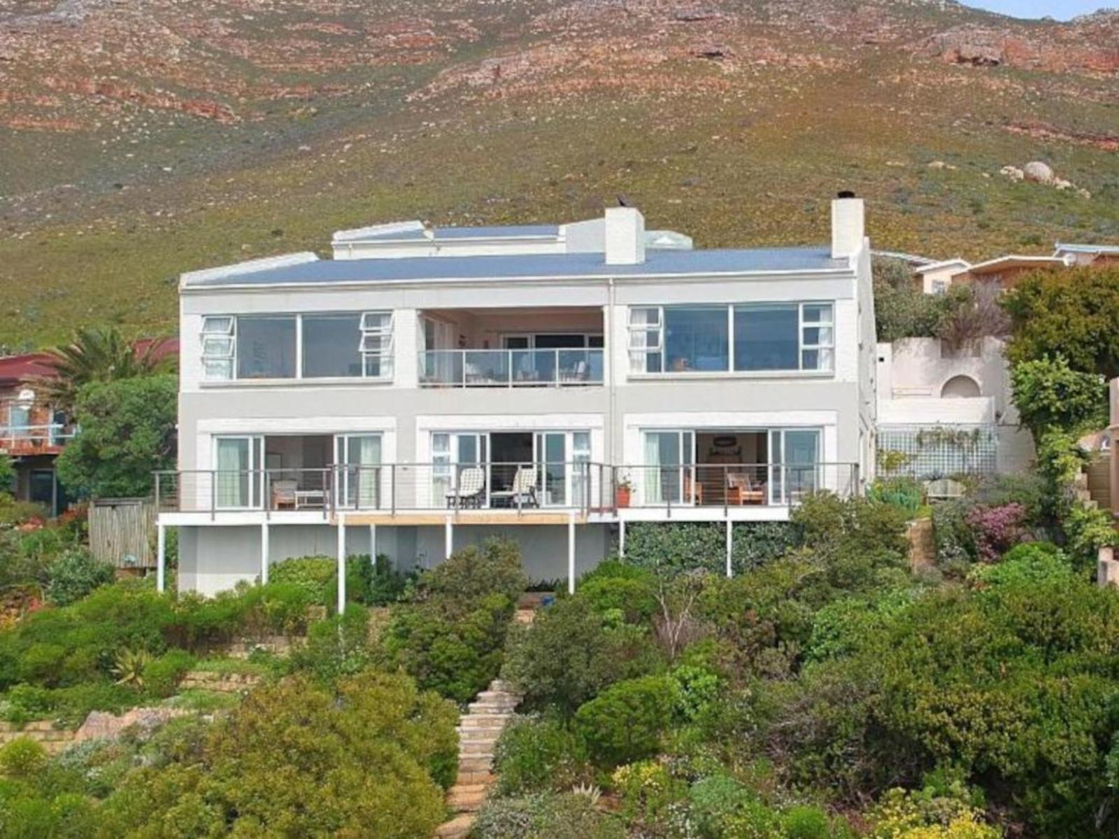 Bird-friendly stays in Cape Town