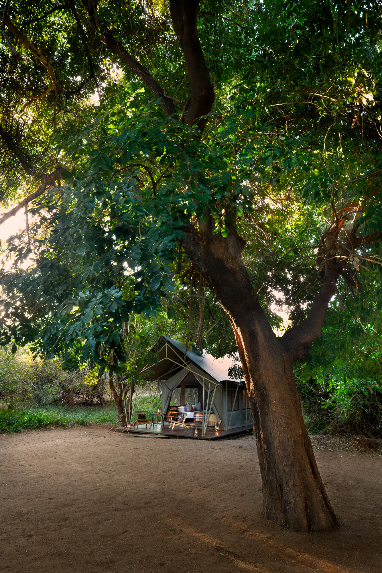 Bird-friendly stays in Limpopo