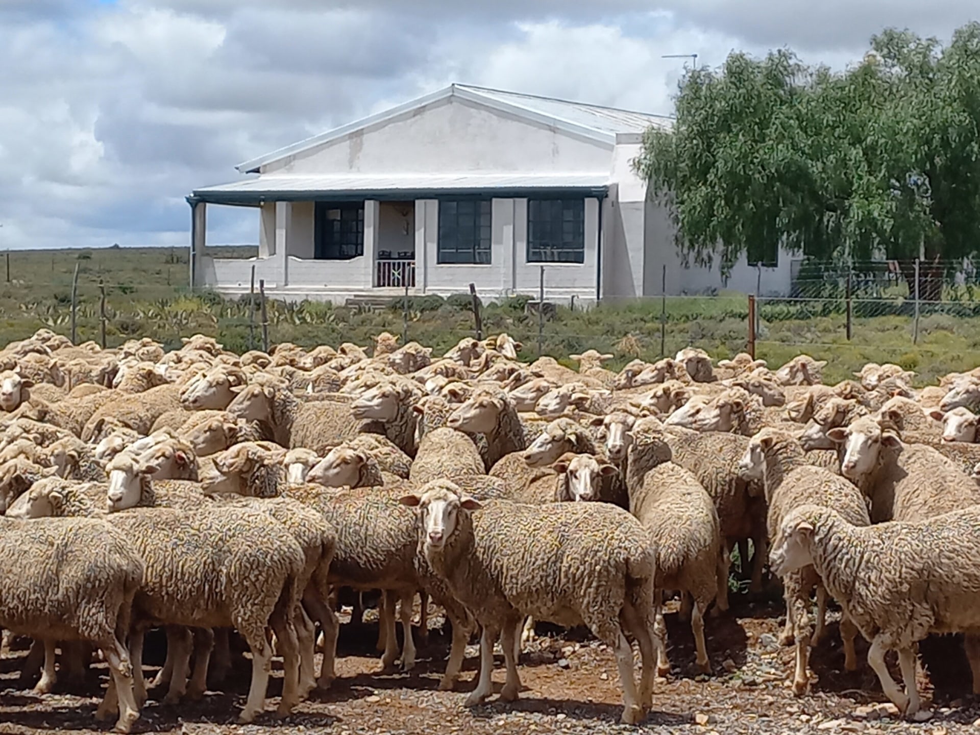 Karoo Secret Farm Stay
