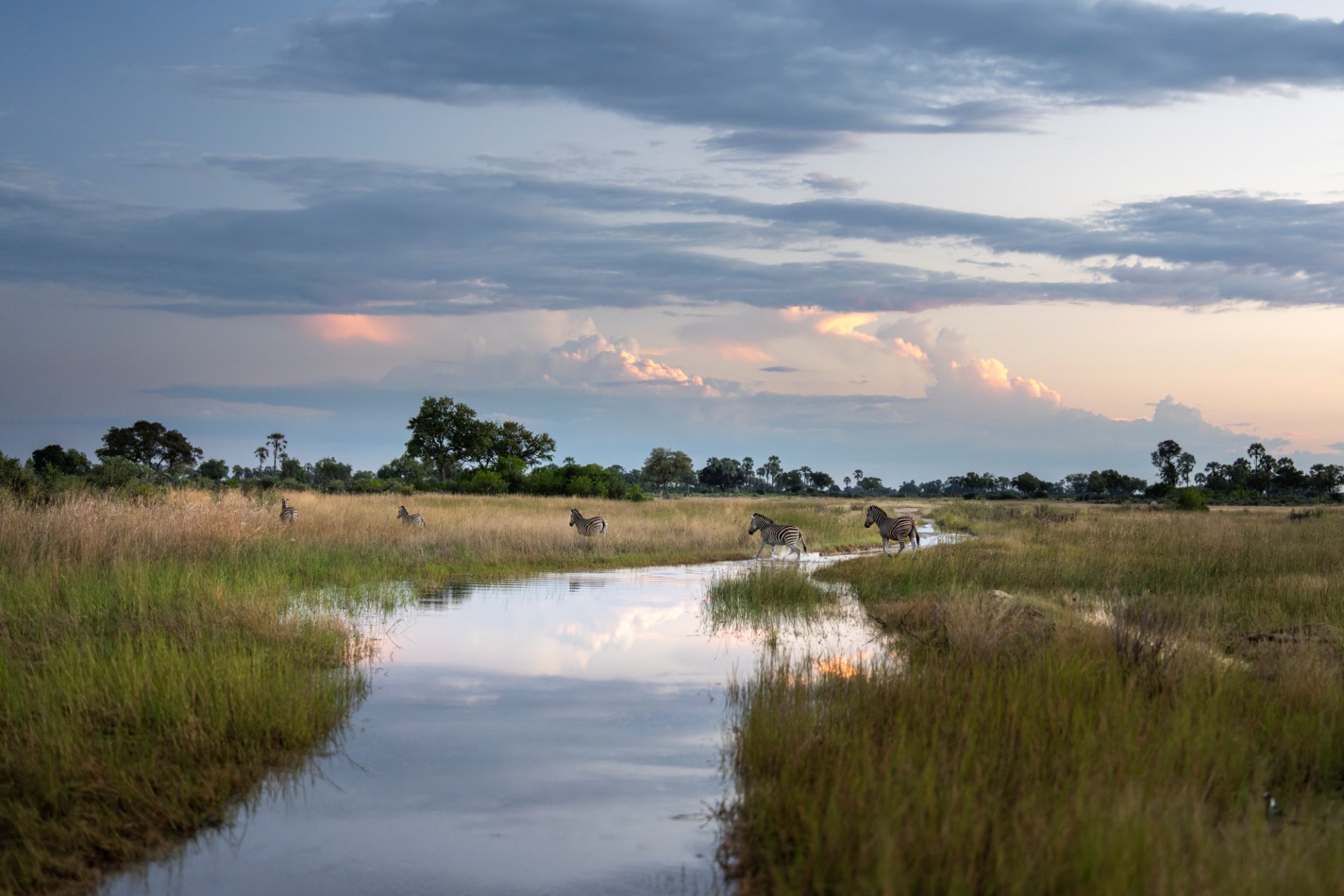 Singita Elela