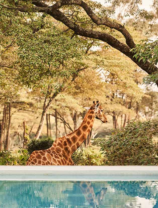 Nairobi