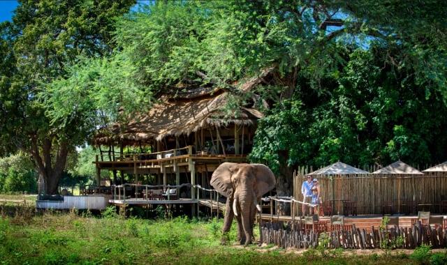 Mana Pools National Park