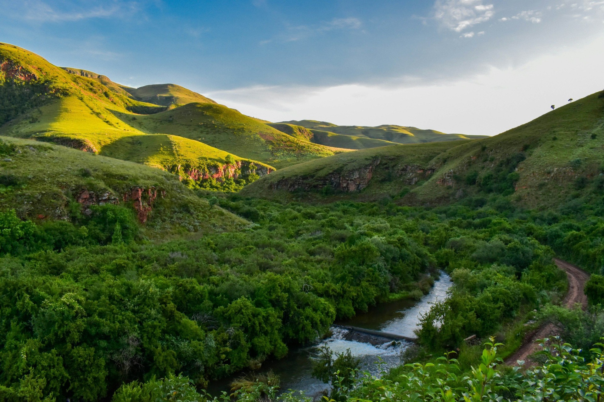 Mpumalanga lowveld landscape