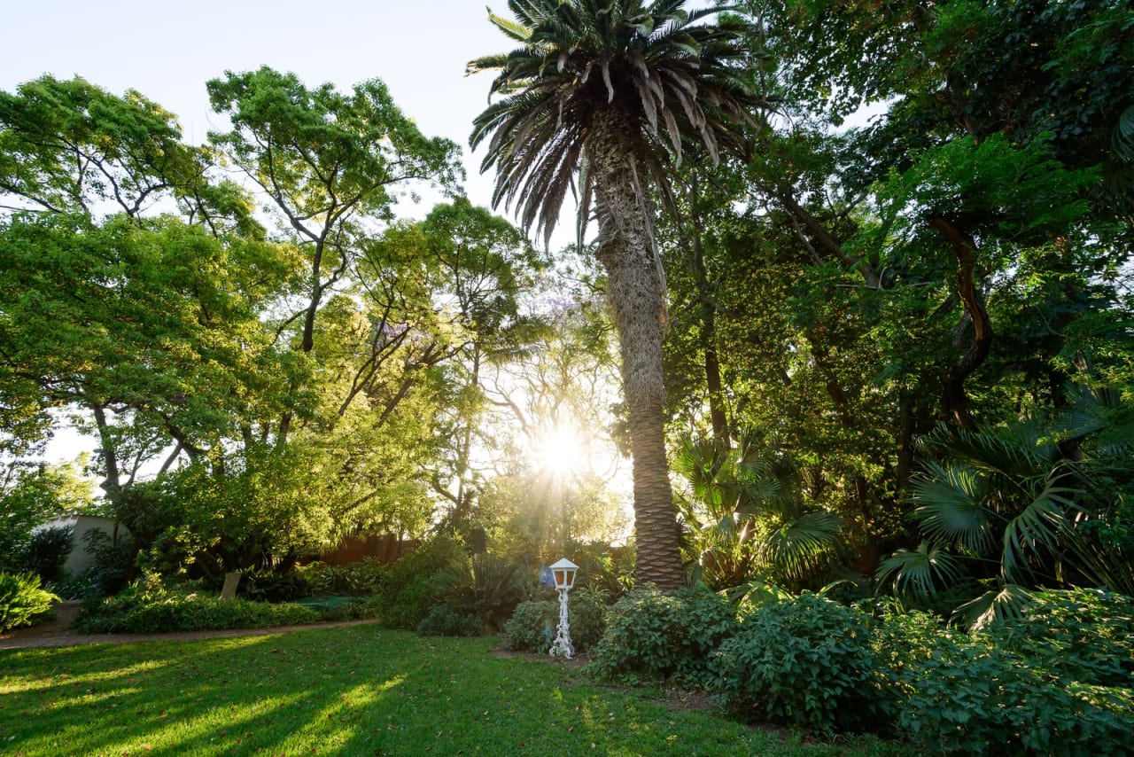Lupus Den Country House