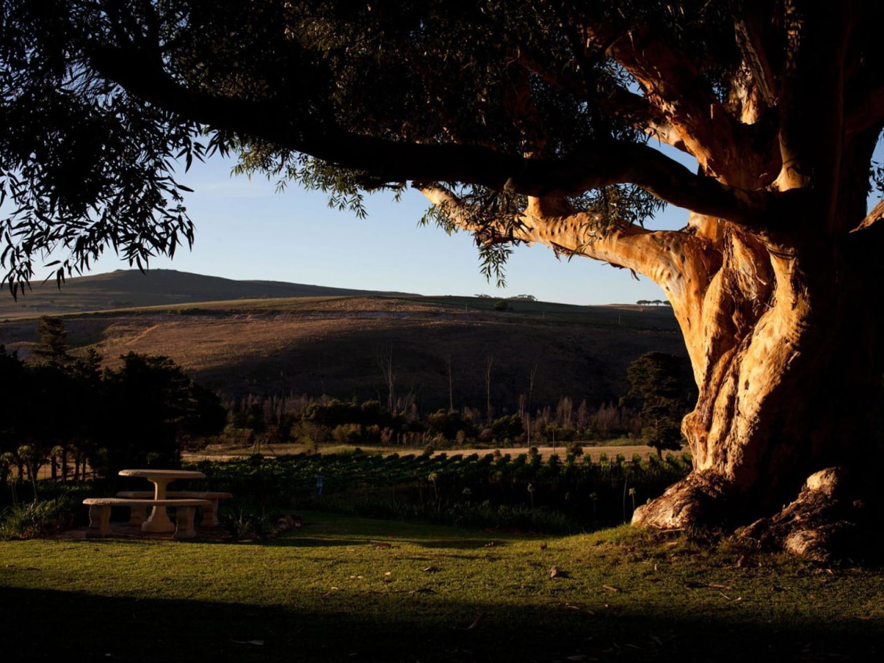 Stanford area