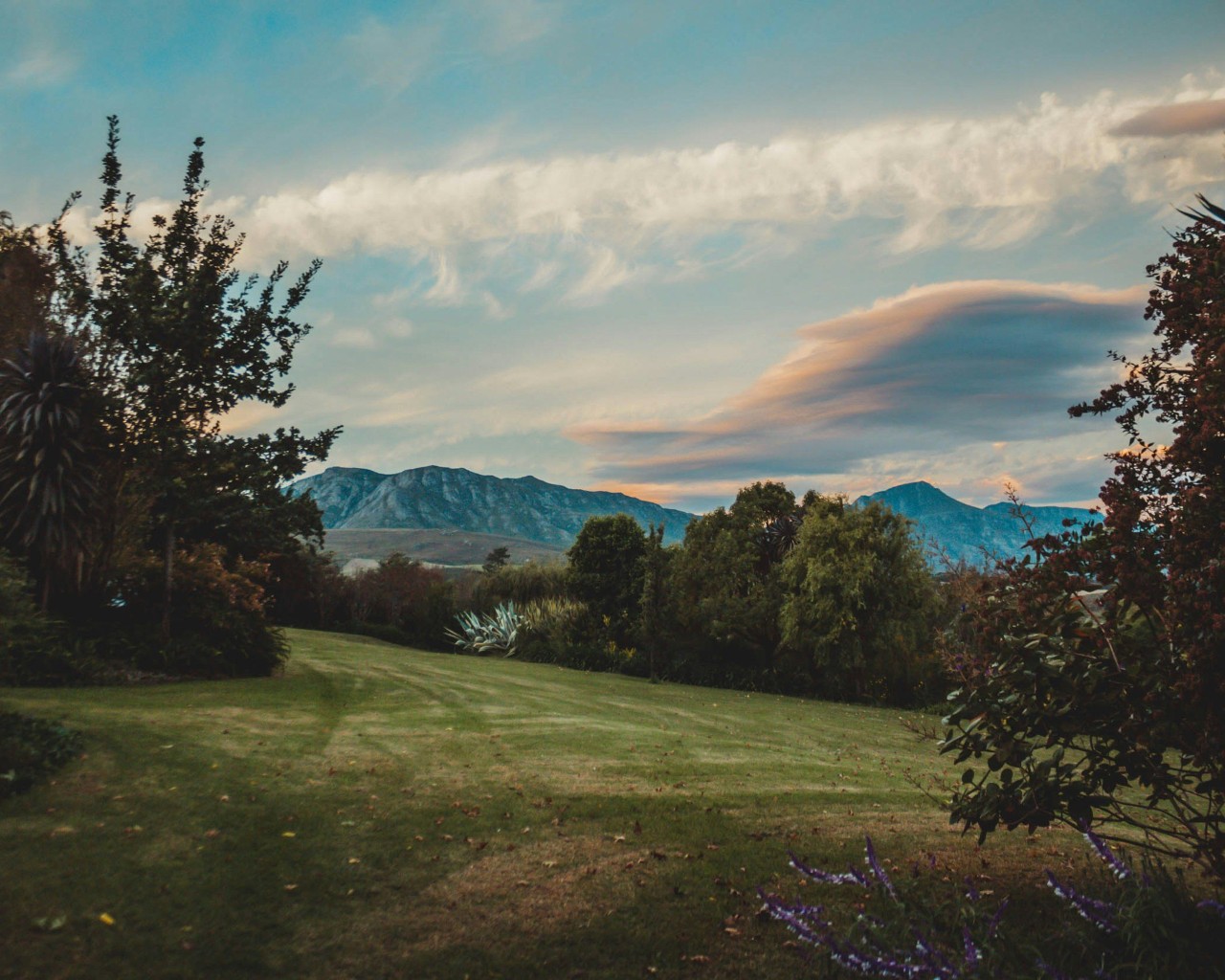 Greyton area