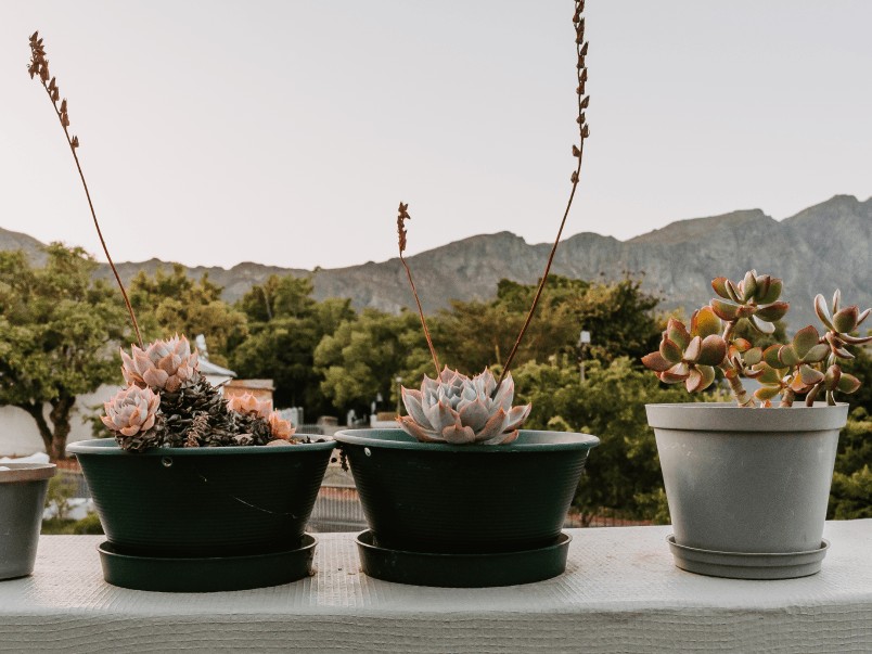 Franschhoek Boutique Hotel