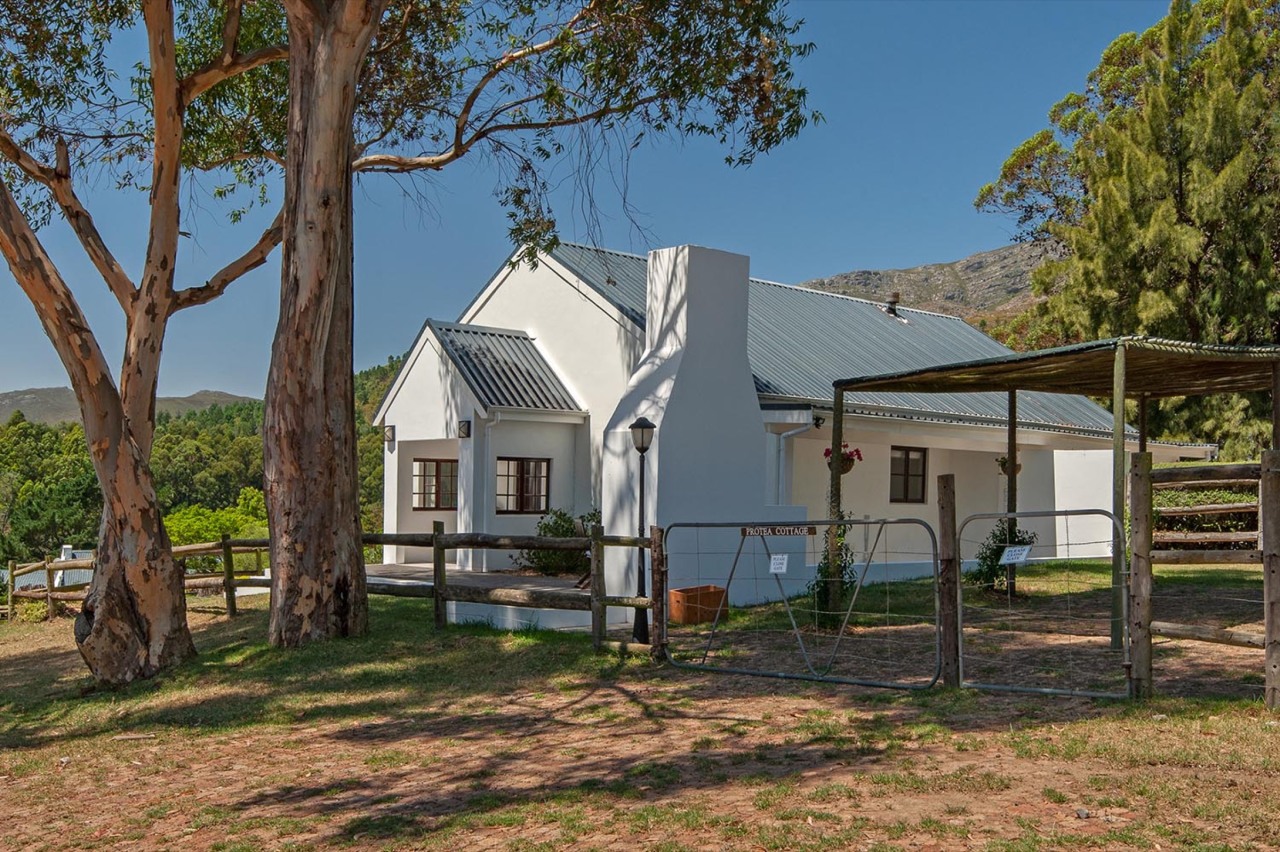 Protea Cottage