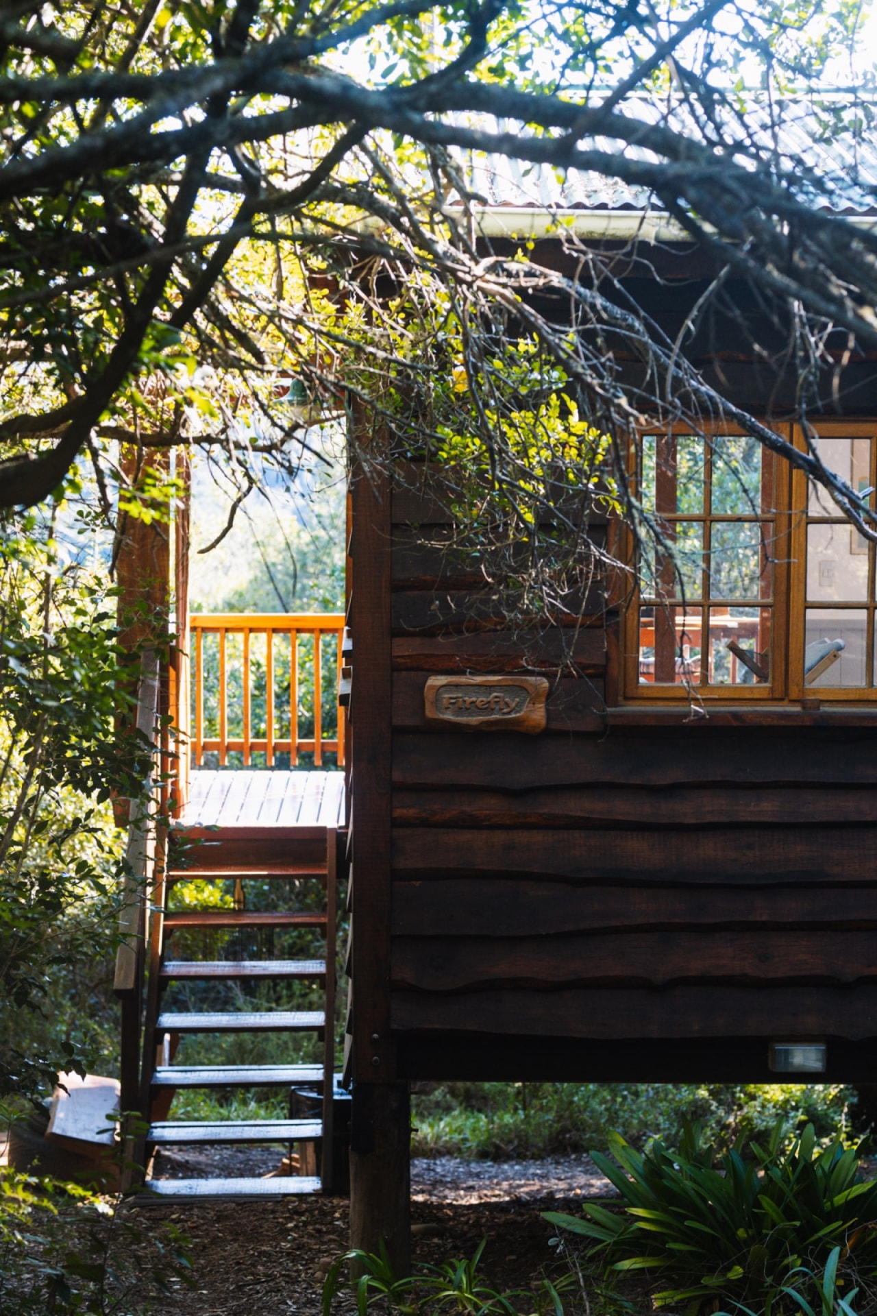 Firefly Cabin
