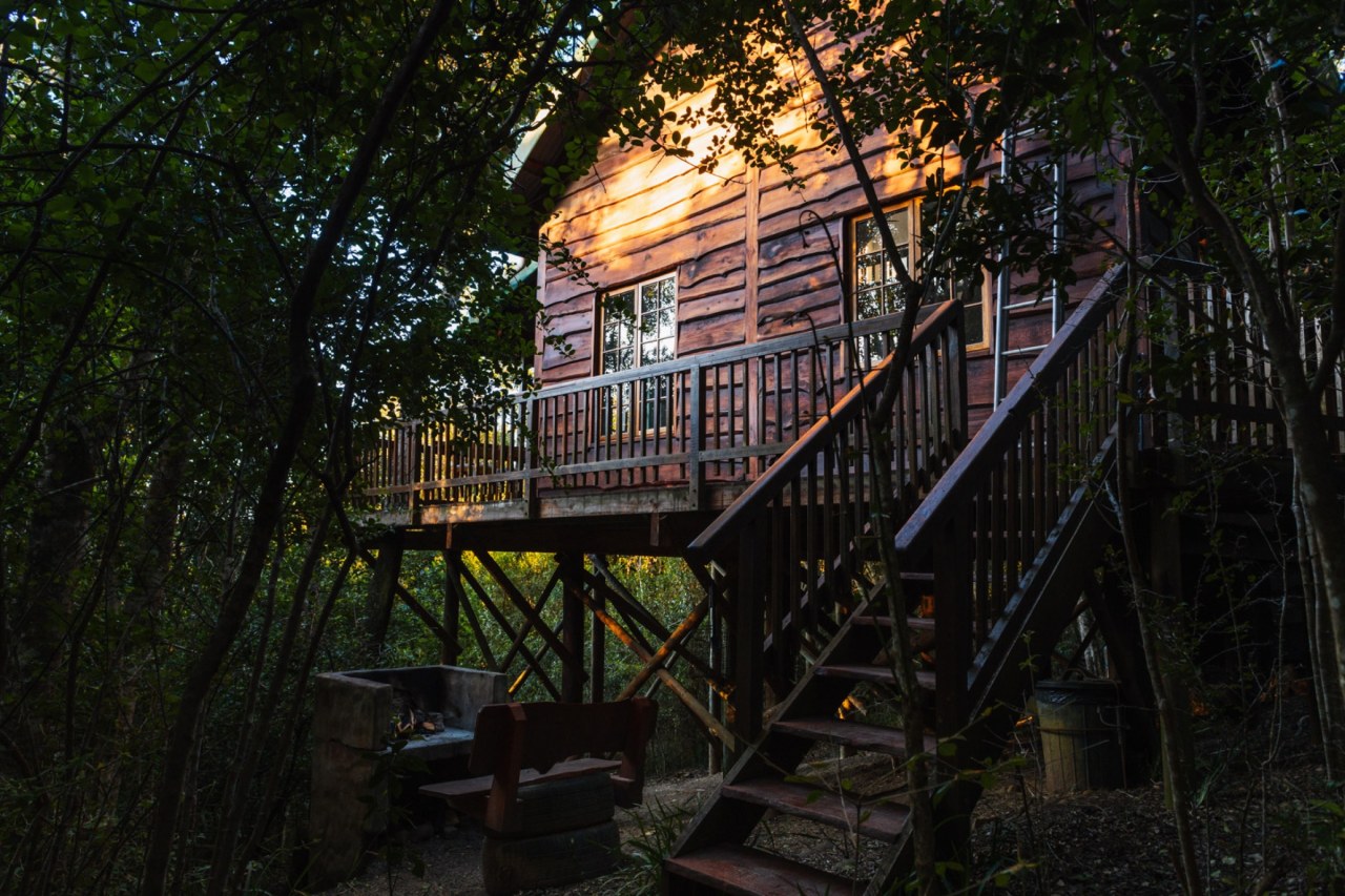 Treefrog Cabin