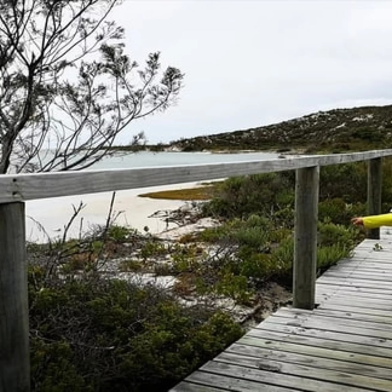 Damara Trail (De Mond)