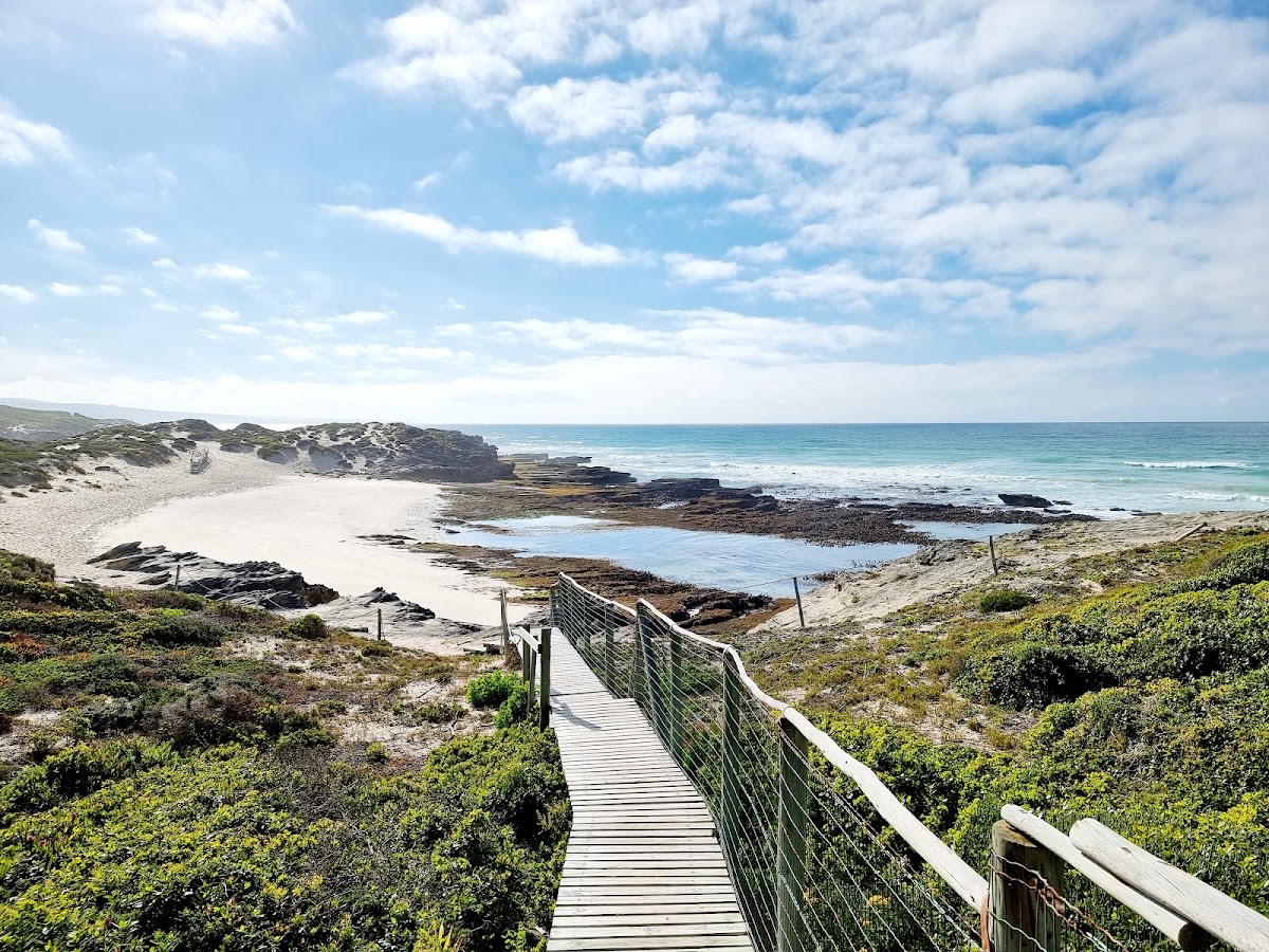 The Whale Trail (De Hoop)