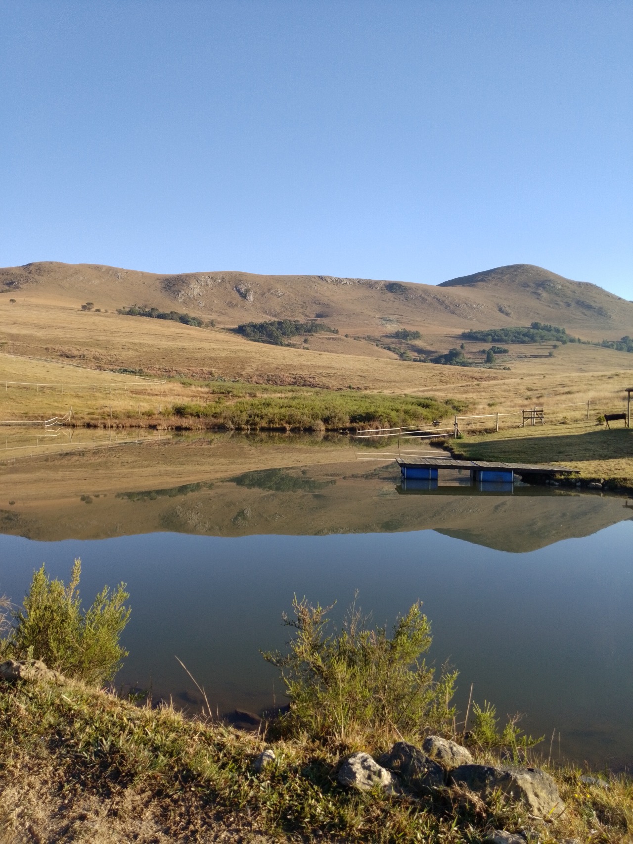 Horseshoe Cabin