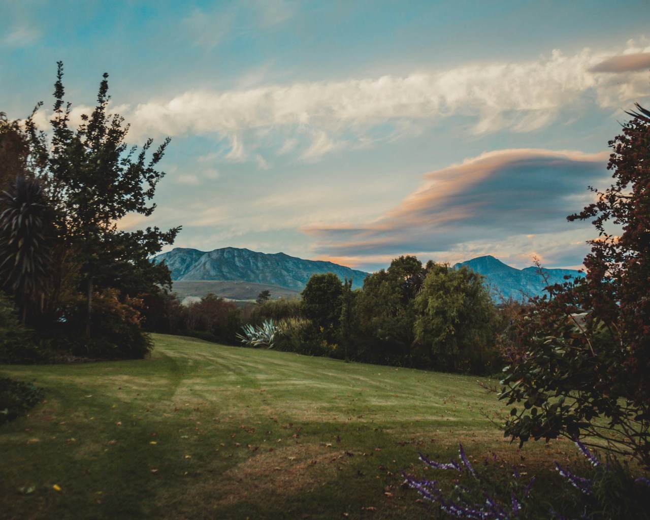 Greyton area
