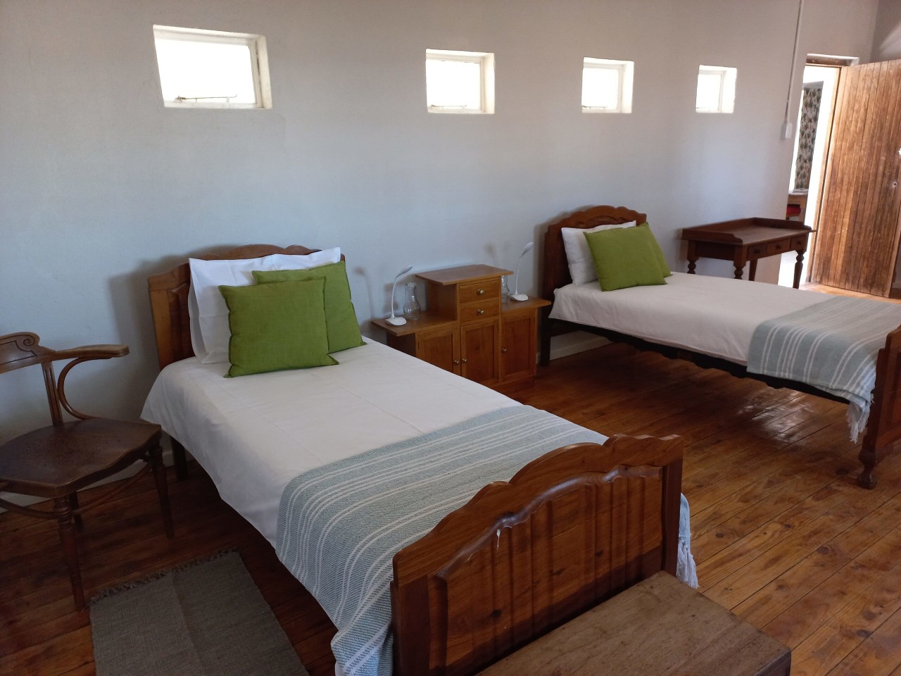 Karoo Lark