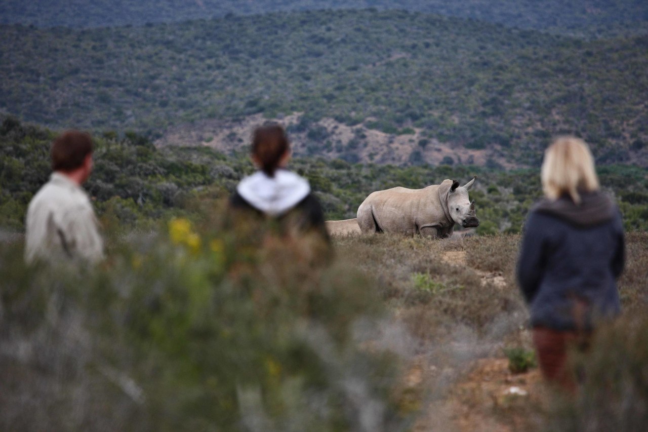 Kwandwe Private Game Reserve