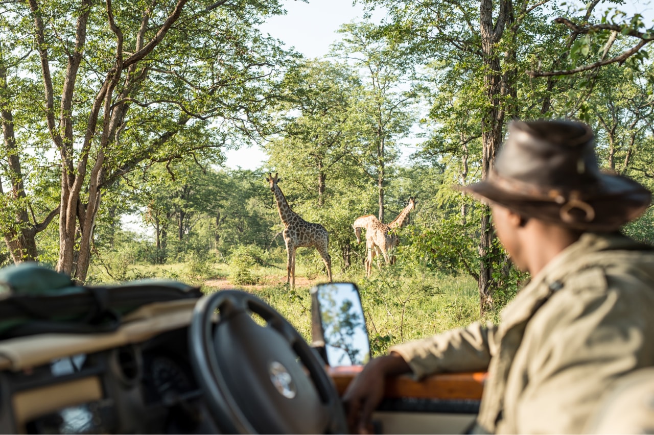 Singita Malilangwe House