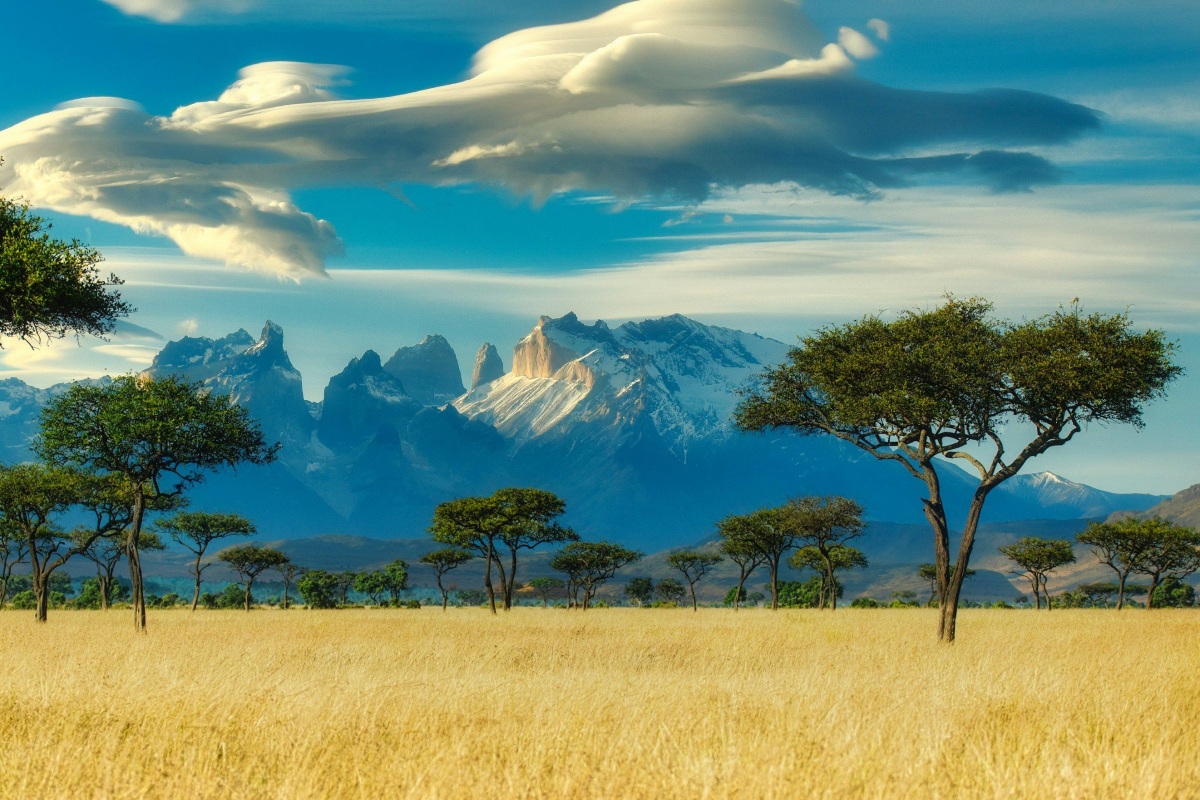 Kenya Photo