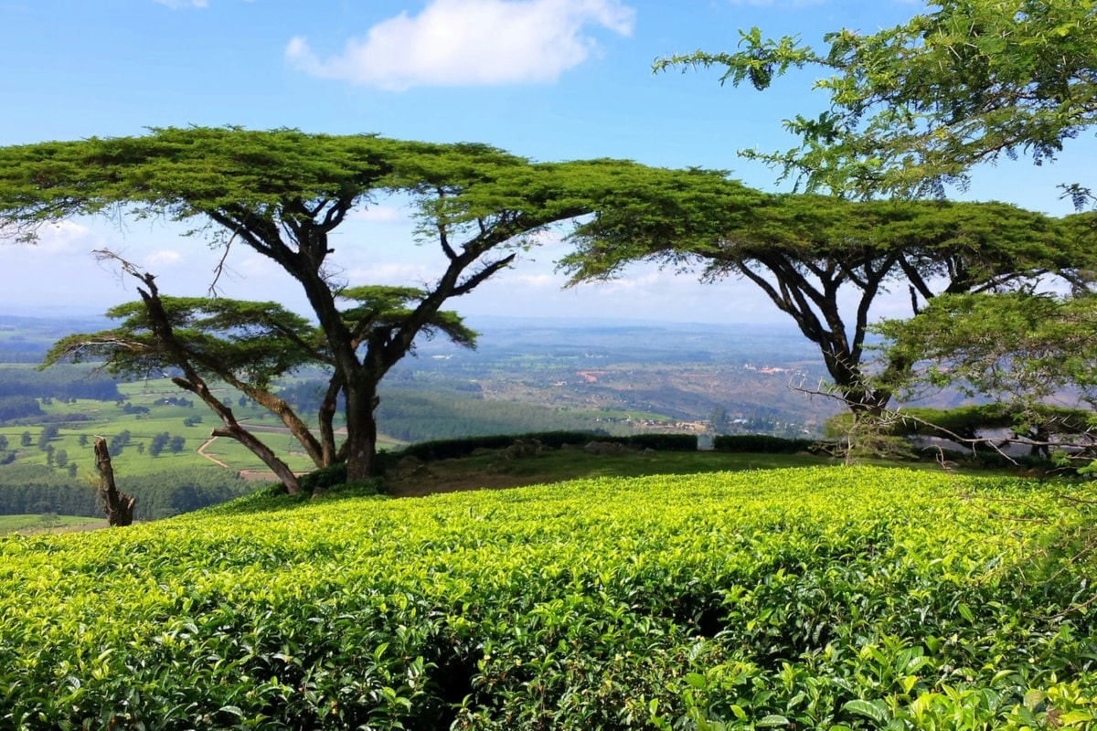 Malawi Photo