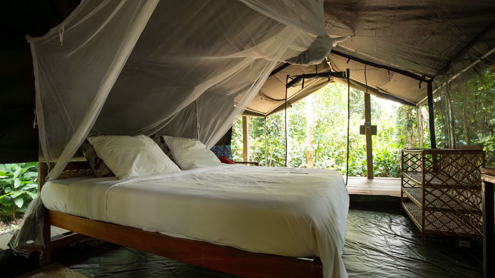 African/Congo Residents, Canvas Chalet (Solo) - Photo 1