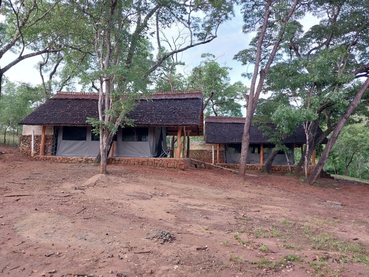 Tented Chalet, International Guests (Excluding Game Drive) - Foto 1