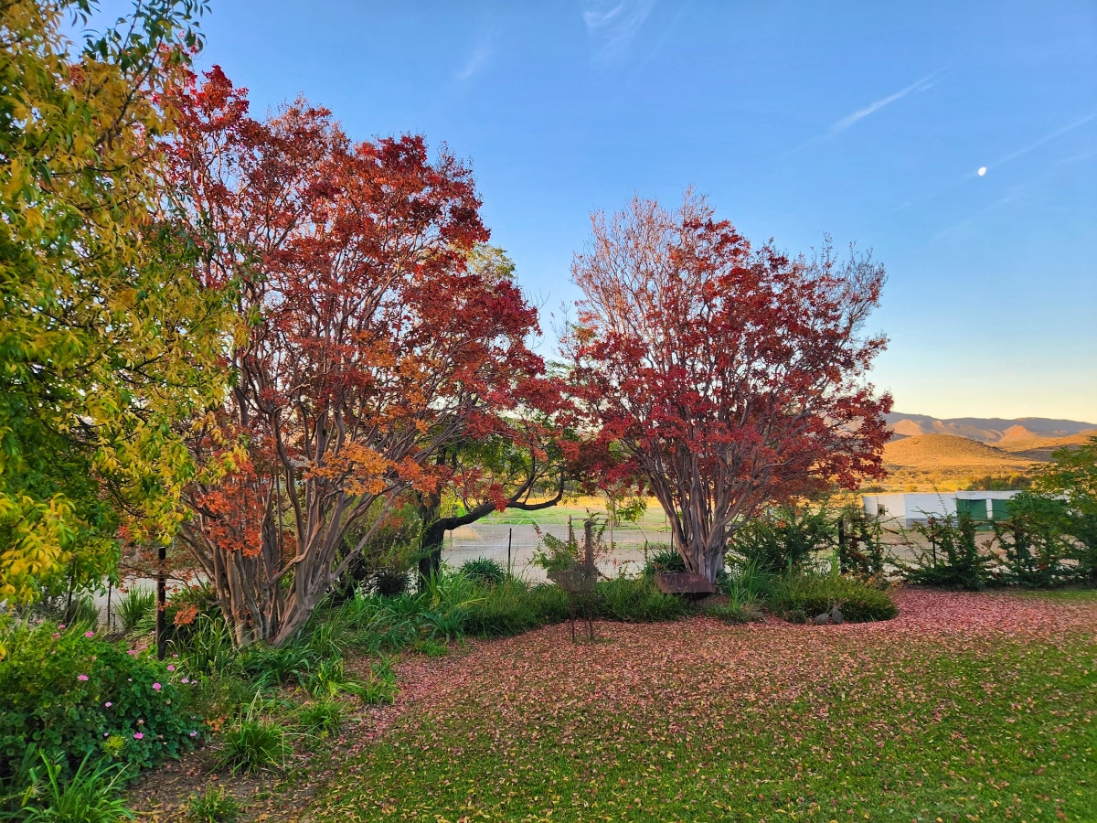 Avondrust Farm Stay