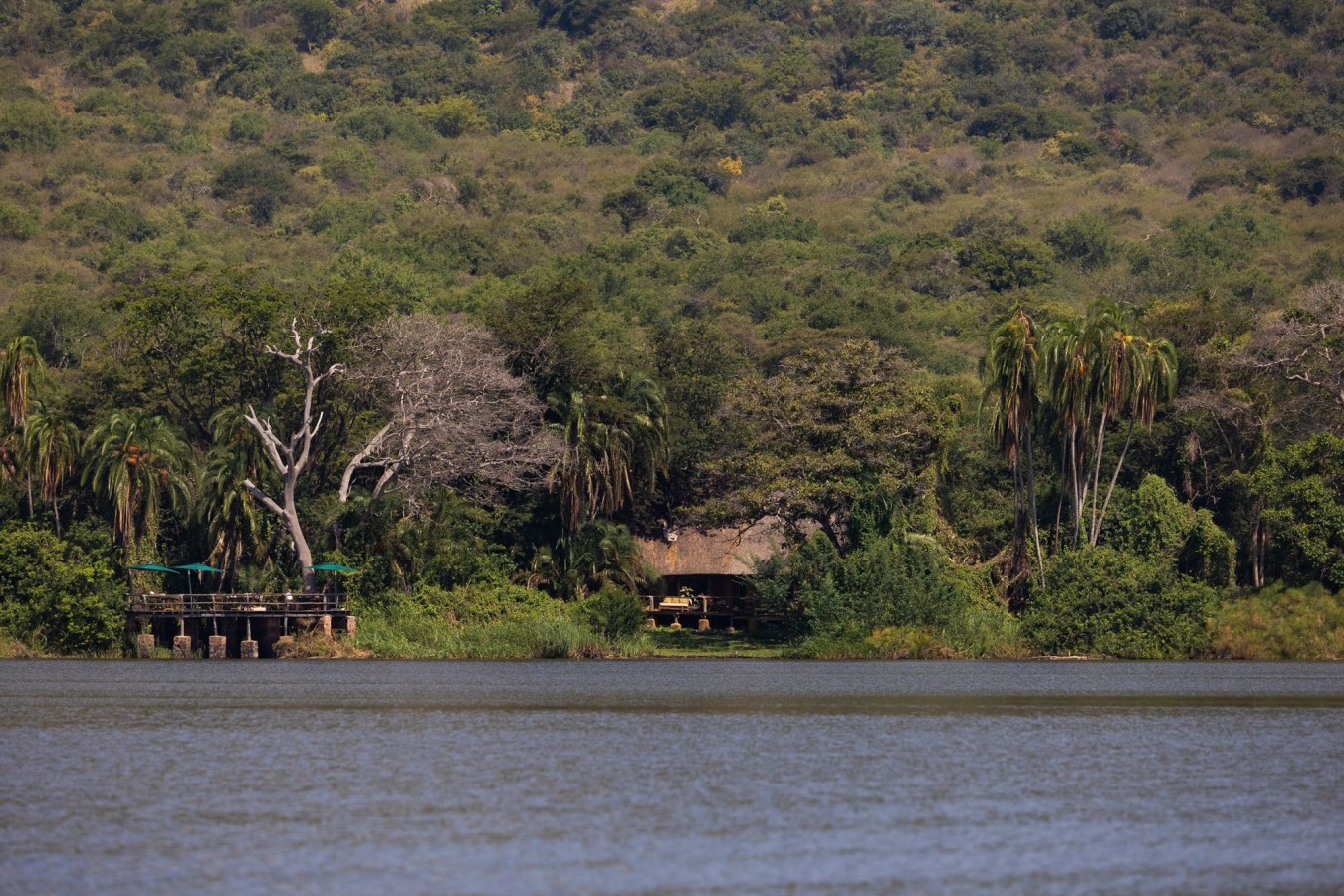 Tree-top Tent, International (per person sharing) - Photo 1
