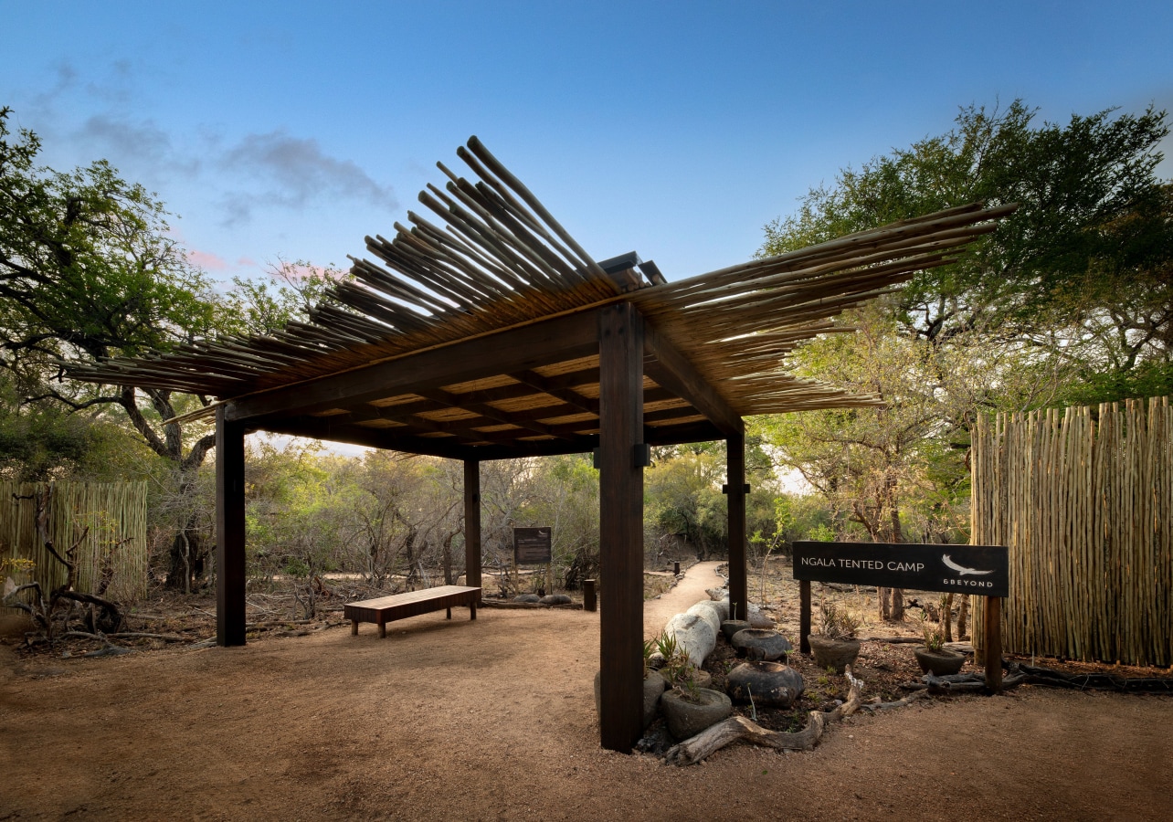 &Beyond Ngala Tented Camp
