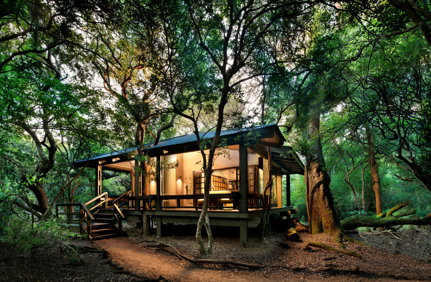 Family Forest Suite - Photo 1