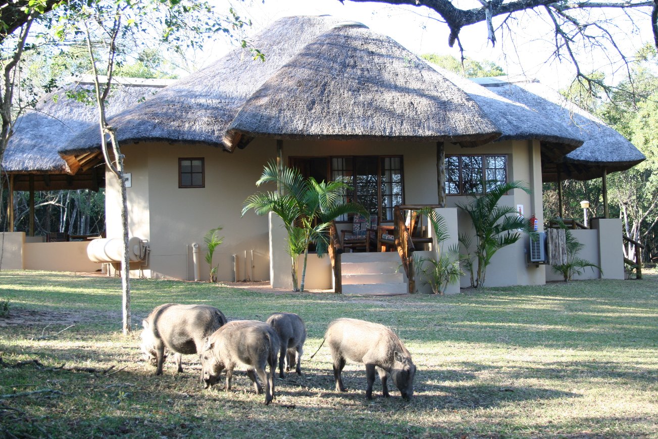 Lalapanzi Bushview Interleading - Photo 1