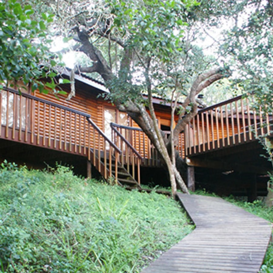 Buffalo Valley Forest Lodge
