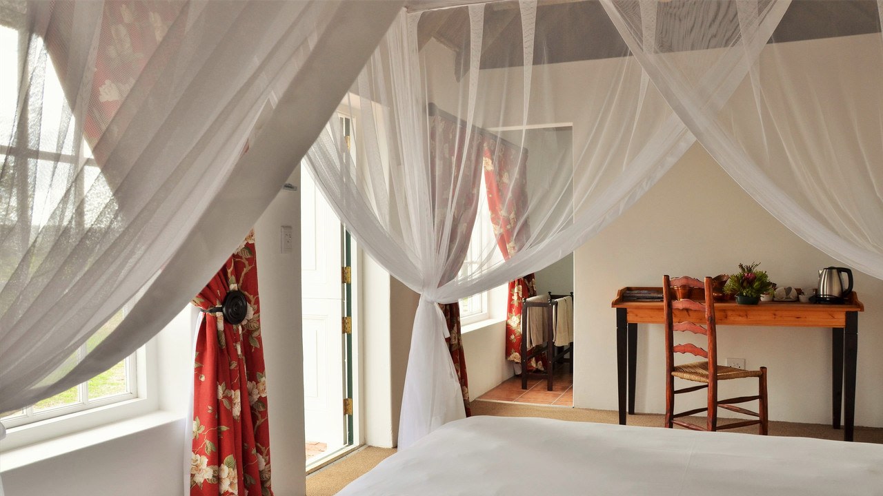 Otter Suite - Photo 1