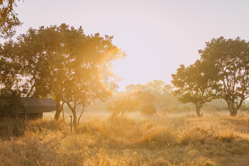 Satara Plains Camp - Camp view