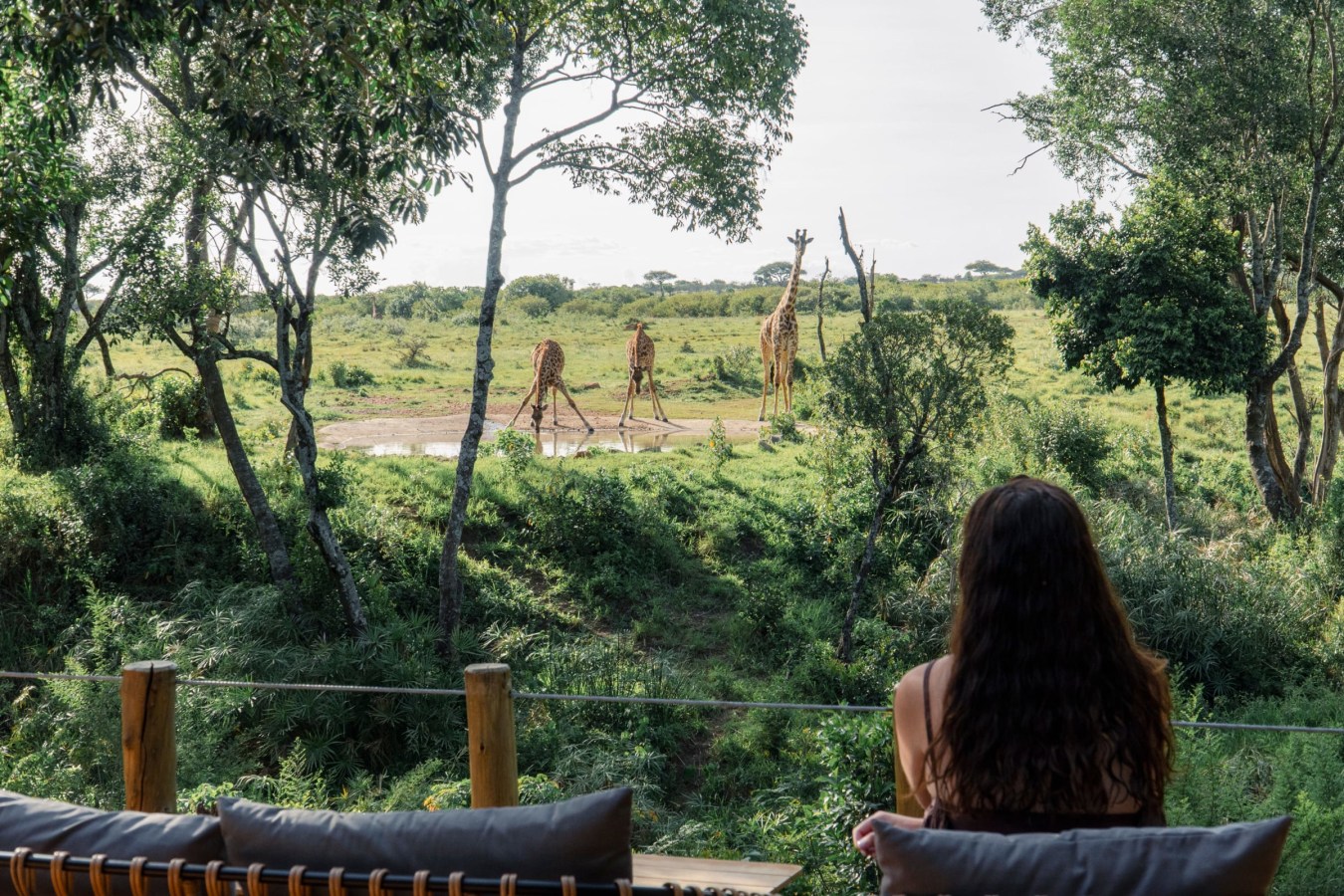 Lerai Safari Camp