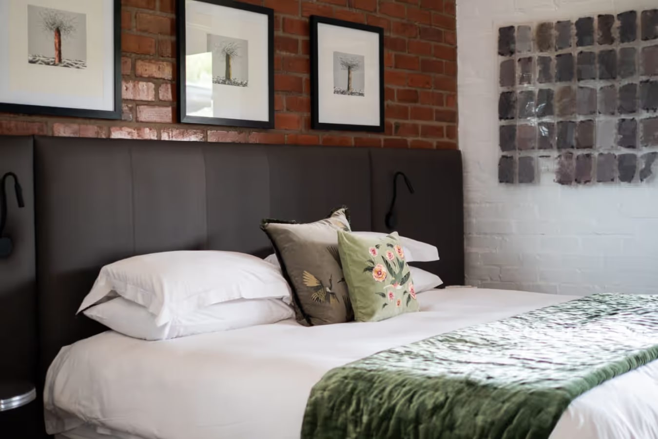 Aloe - Photo 1