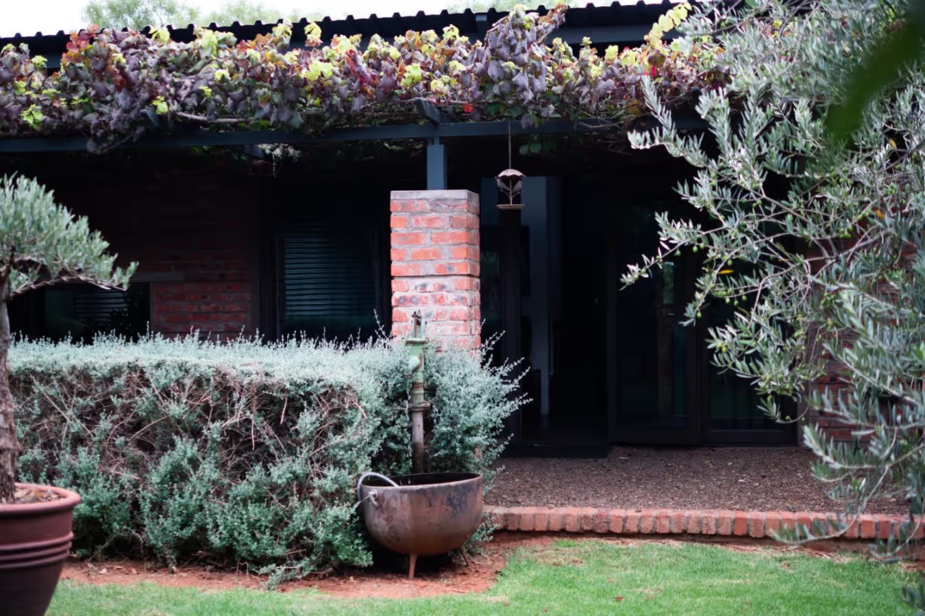 Olive Tree Cottage - Photo 1