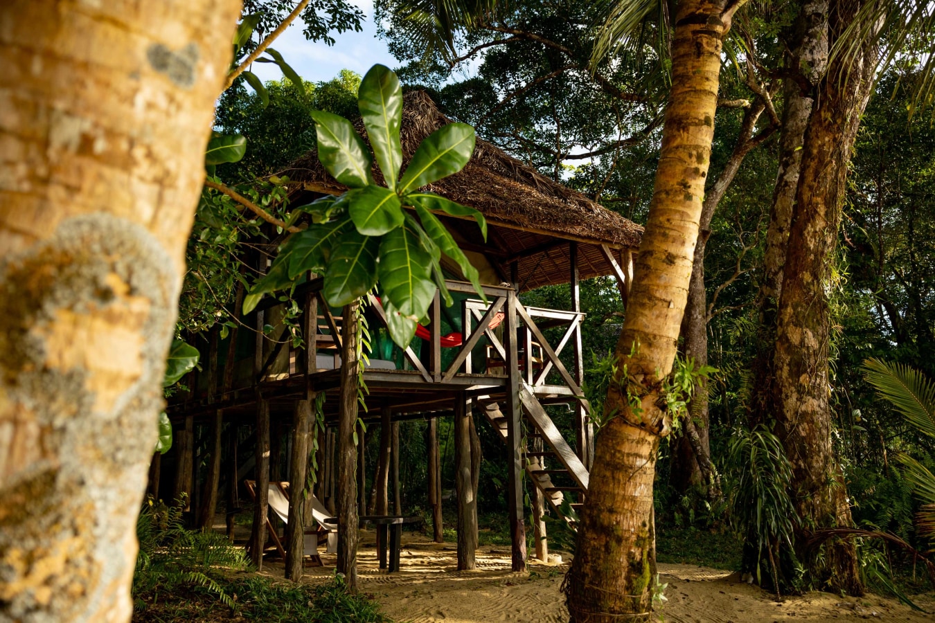 Masoala Forest Lodge