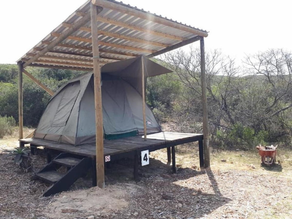 Permanent Twin Tent - Photo 1