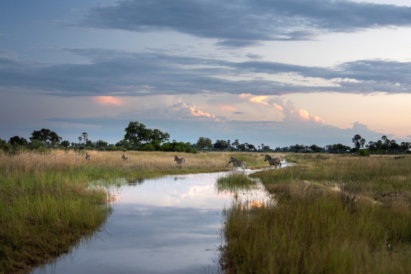 Okavango Delta Landscapes Water Channel Crossing at Singita Elela