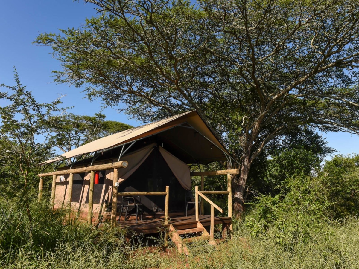 Safari Tent (Double) - Foto 1