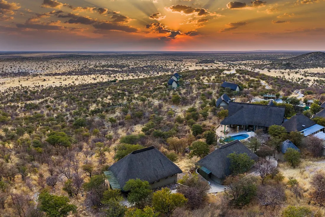 Safarihoek