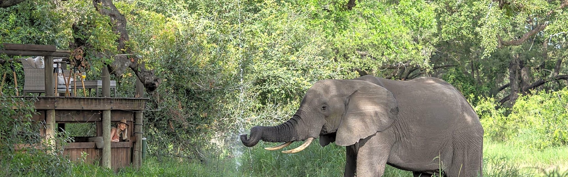 Manyeleti Game Reserve