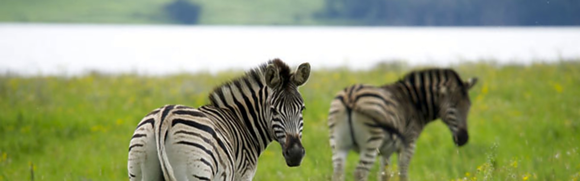 Midmar Dam Nature Reserve
