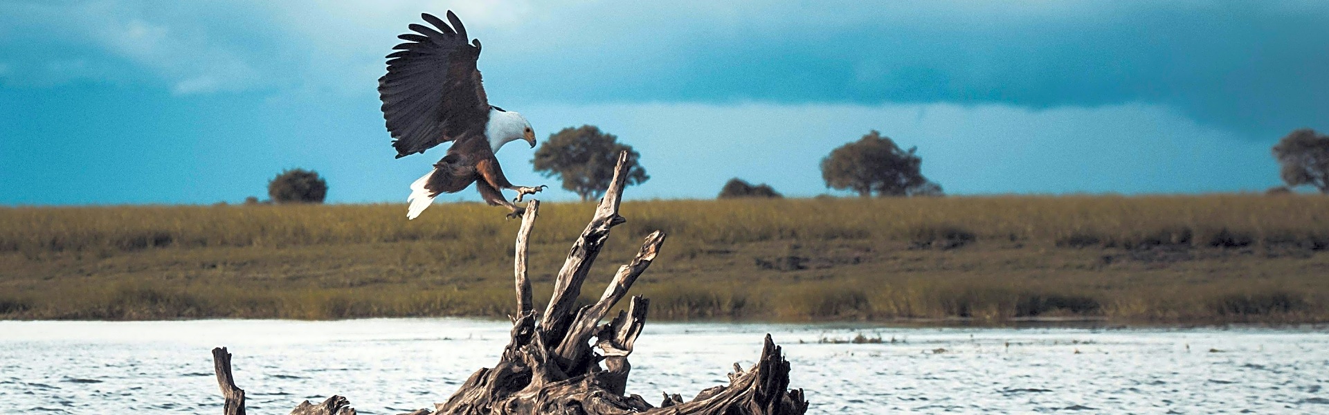 Chobe National Park