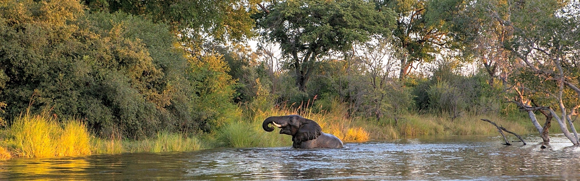 Zambia